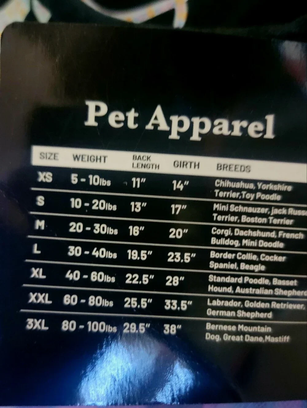 N/A pet dog
